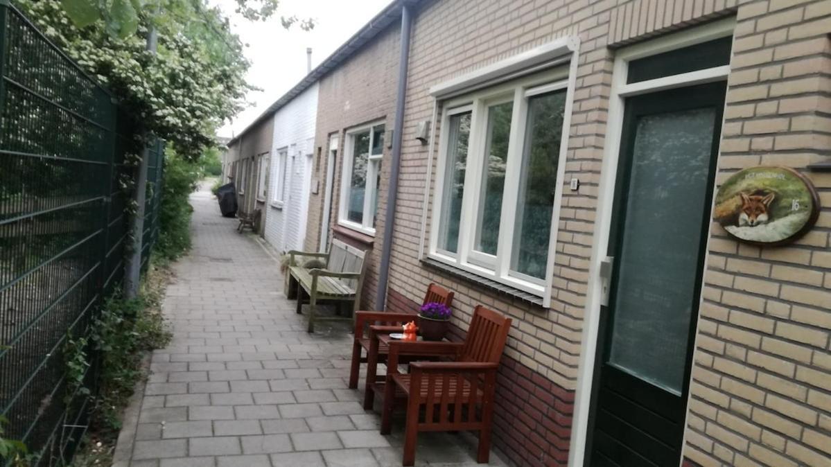 Het Vossenhol Strategisch Tussen En Duin *