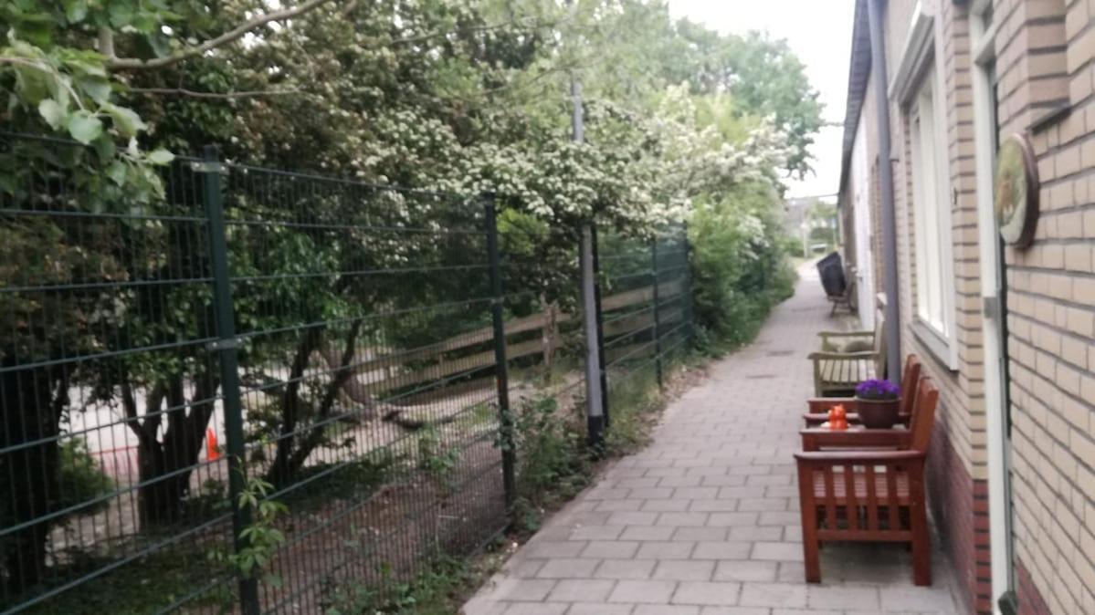 Vakantiehuis Het Vossenhol Strategisch Tussen En Duin